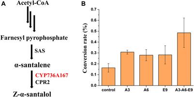 Improved Functional Expression of Cytochrome P450s in Saccharomyces cerevisiae Through Screening a cDNA Library From Arabidopsis thaliana